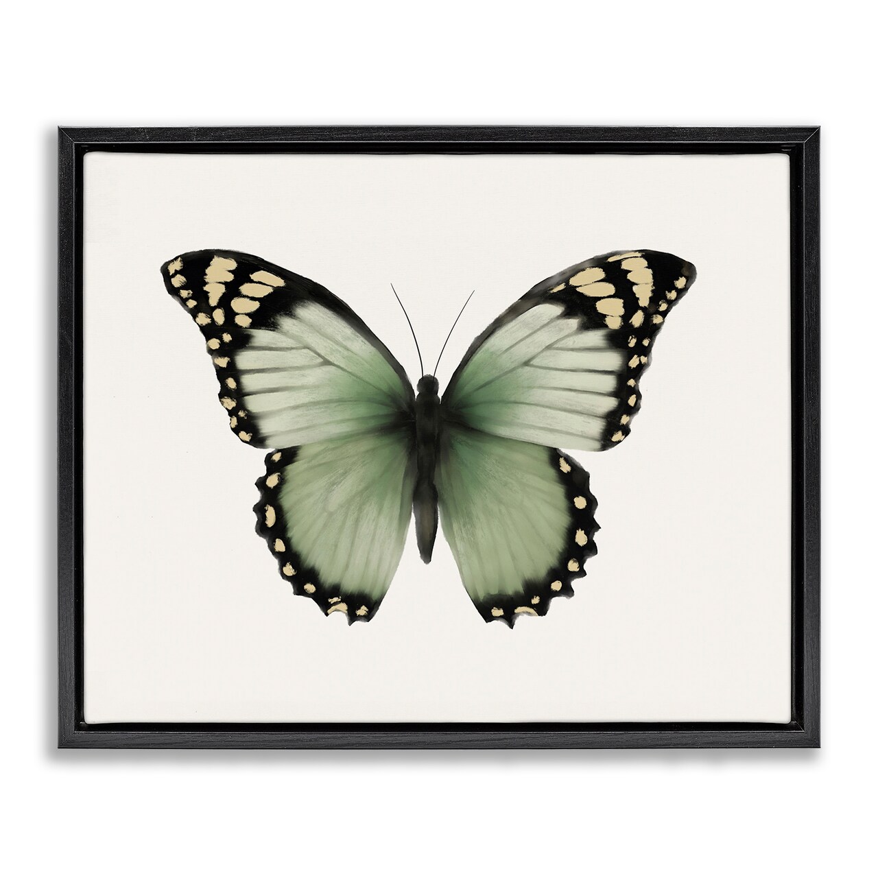 Stupell Industries Green Symmetrical Butterfly Framed Floater Canvas Wall Art Design by Elizabeth Medley